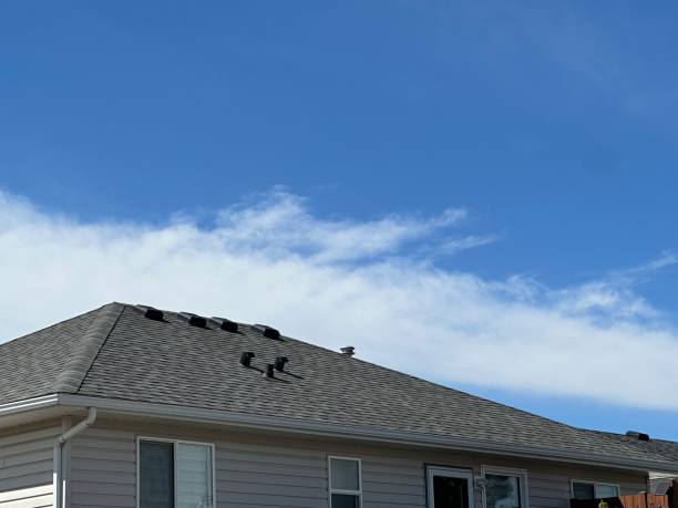 Best Metal Roofing Installation  in Severance, CO